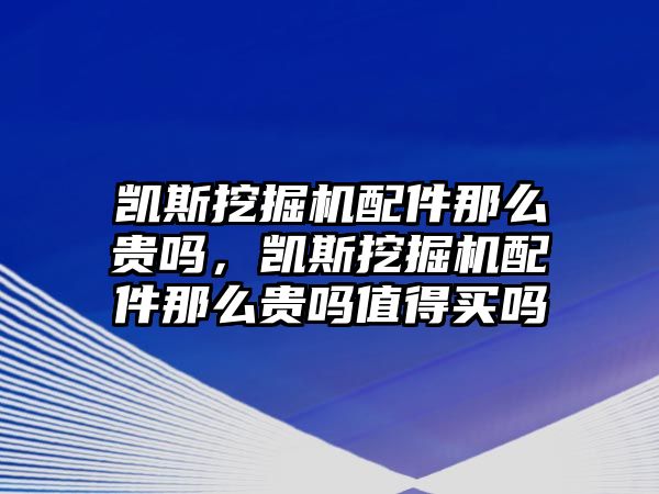 凱斯挖掘機(jī)配件那么貴嗎，凱斯挖掘機(jī)配件那么貴嗎值得買嗎