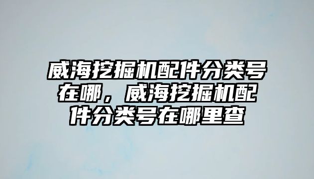 威海挖掘機(jī)配件分類號(hào)在哪，威海挖掘機(jī)配件分類號(hào)在哪里查