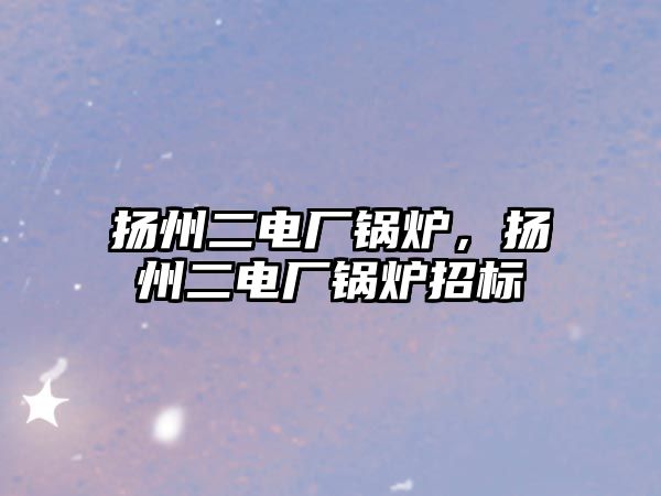 揚州二電廠鍋爐，揚州二電廠鍋爐招標