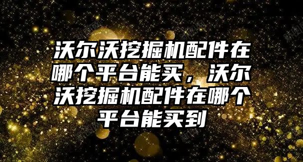 沃爾沃挖掘機配件在哪個平臺能買，沃爾沃挖掘機配件在哪個平臺能買到