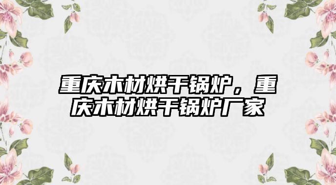 重慶木材烘干鍋爐，重慶木材烘干鍋爐廠家