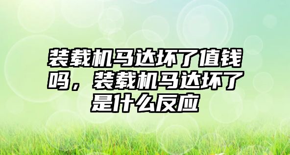 裝載機馬達壞了值錢嗎，裝載機馬達壞了是什么反應(yīng)