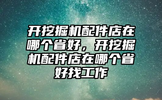 開挖掘機配件店在哪個省好，開挖掘機配件店在哪個省好找工作