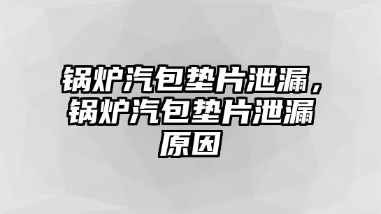 鍋爐汽包墊片泄漏，鍋爐汽包墊片泄漏原因