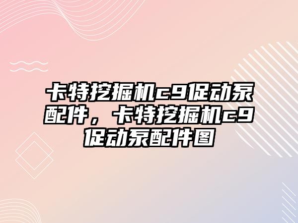 卡特挖掘機c9促動泵配件，卡特挖掘機c9促動泵配件圖