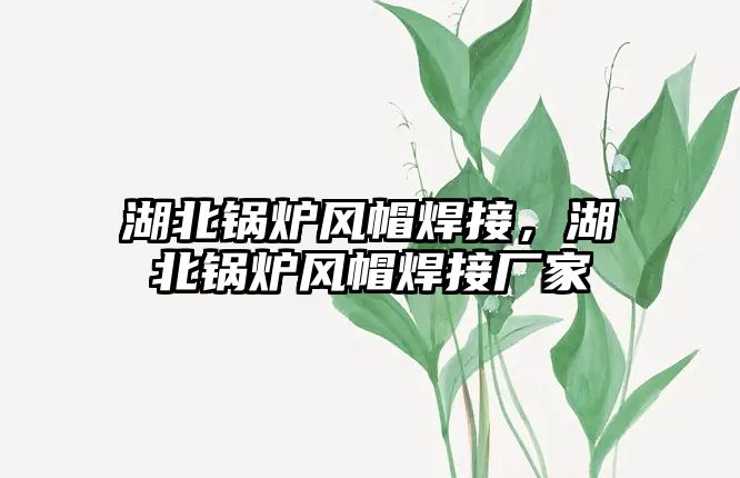 湖北鍋爐風(fēng)帽焊接，湖北鍋爐風(fēng)帽焊接廠家