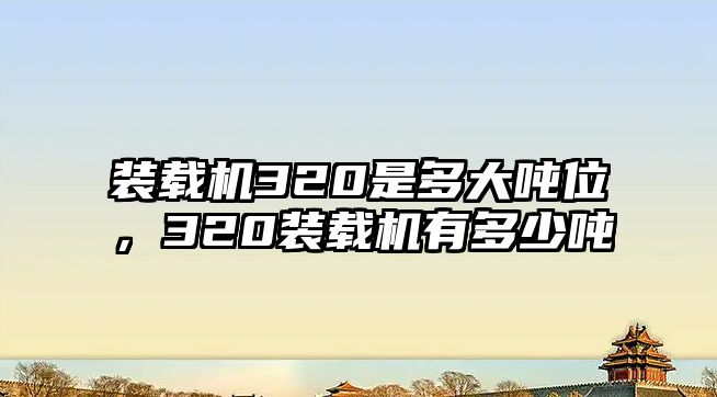 裝載機320是多大噸位，320裝載機有多少噸