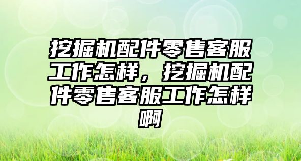 挖掘機配件零售客服工作怎樣，挖掘機配件零售客服工作怎樣啊