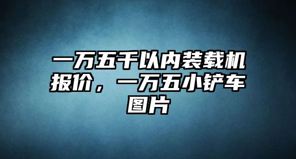 一萬五千以內(nèi)裝載機(jī)報(bào)價，一萬五小鏟車圖片