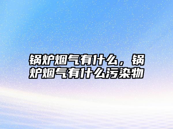 鍋爐煙氣有什么，鍋爐煙氣有什么污染物