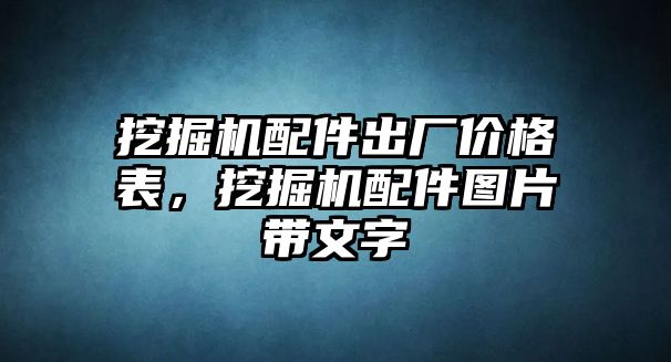 挖掘機(jī)配件出廠價(jià)格表，挖掘機(jī)配件圖片帶文字