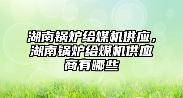 湖南鍋爐給煤機供應，湖南鍋爐給煤機供應商有哪些