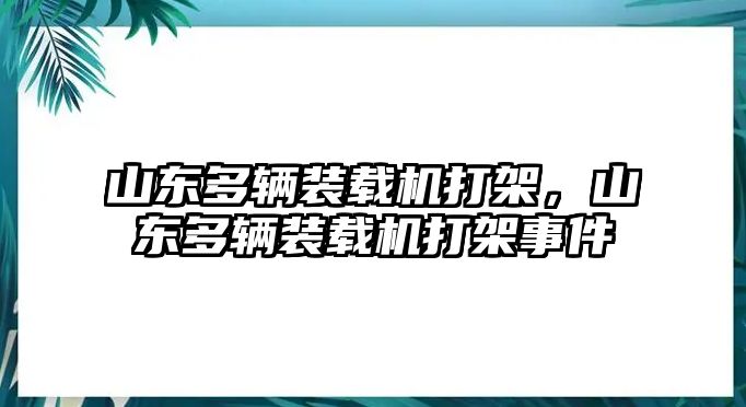 山東多輛裝載機打架，山東多輛裝載機打架事件