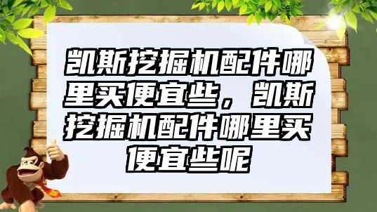 凱斯挖掘機(jī)配件哪里買便宜些，凱斯挖掘機(jī)配件哪里買便宜些呢