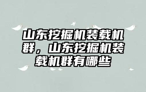 山東挖掘機(jī)裝載機(jī)群，山東挖掘機(jī)裝載機(jī)群有哪些