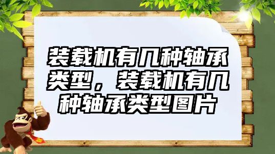 裝載機有幾種軸承類型，裝載機有幾種軸承類型圖片