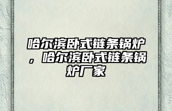 哈爾濱臥式鏈條鍋爐，哈爾濱臥式鏈條鍋爐廠家