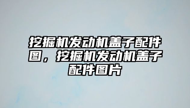 挖掘機發(fā)動機蓋子配件圖，挖掘機發(fā)動機蓋子配件圖片