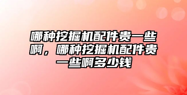 哪種挖掘機(jī)配件貴一些啊，哪種挖掘機(jī)配件貴一些啊多少錢