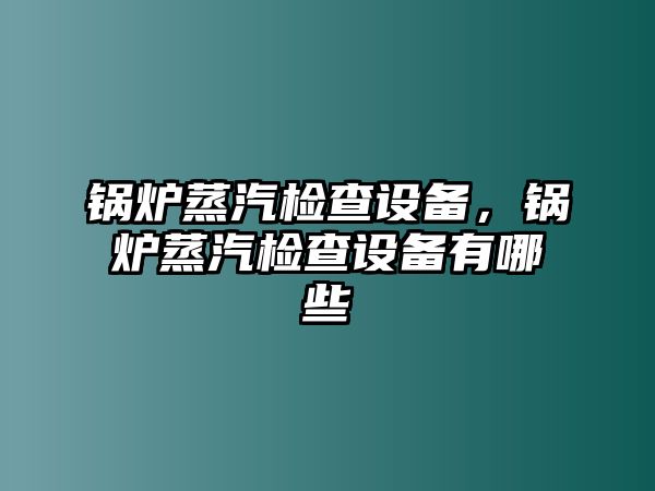 鍋爐蒸汽檢查設(shè)備，鍋爐蒸汽檢查設(shè)備有哪些