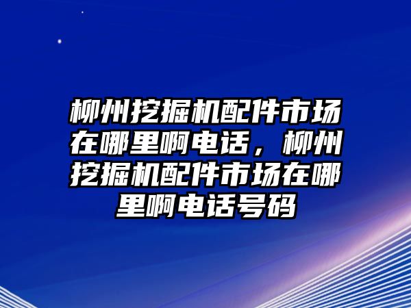 柳州挖掘機配件市場在哪里啊電話，柳州挖掘機配件市場在哪里啊電話號碼