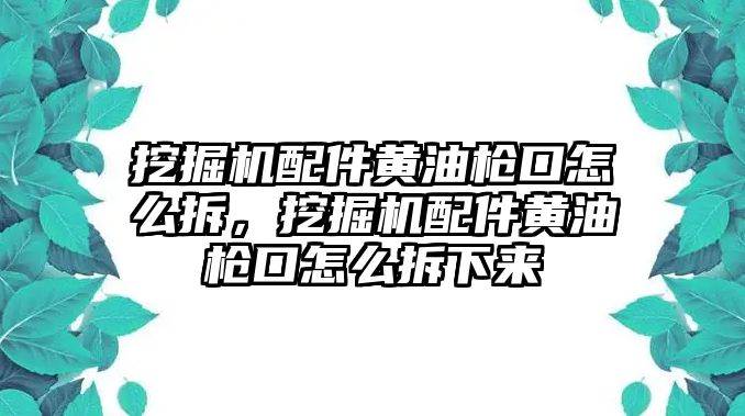 挖掘機配件黃油槍口怎么拆，挖掘機配件黃油槍口怎么拆下來