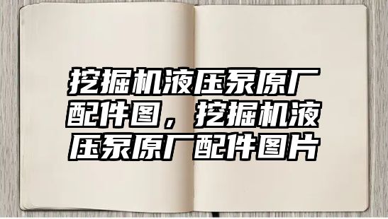 挖掘機液壓泵原廠配件圖，挖掘機液壓泵原廠配件圖片