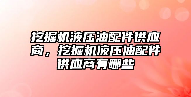 挖掘機液壓油配件供應(yīng)商，挖掘機液壓油配件供應(yīng)商有哪些