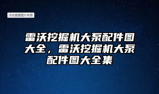 雷沃挖掘機大泵配件圖大全，雷沃挖掘機大泵配件圖大全集