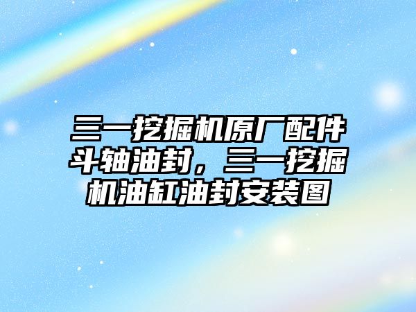 三一挖掘機原廠配件斗軸油封，三一挖掘機油缸油封安裝圖