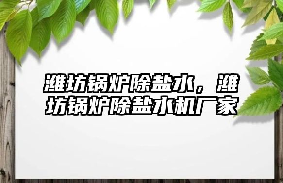 濰坊鍋爐除鹽水，濰坊鍋爐除鹽水機廠家