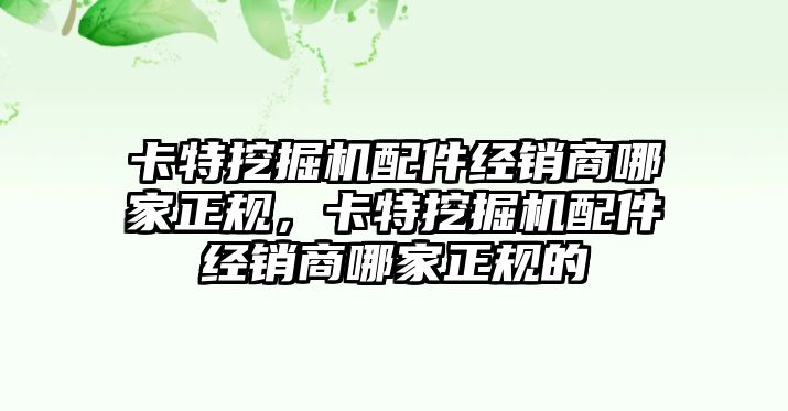 卡特挖掘機配件經(jīng)銷商哪家正規(guī)，卡特挖掘機配件經(jīng)銷商哪家正規(guī)的