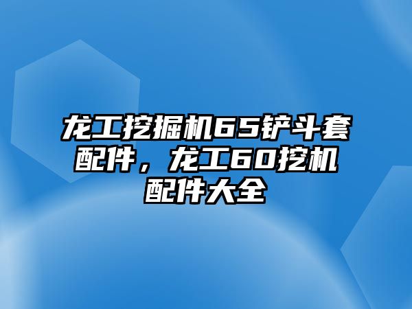 龍工挖掘機65鏟斗套配件，龍工60挖機配件大全