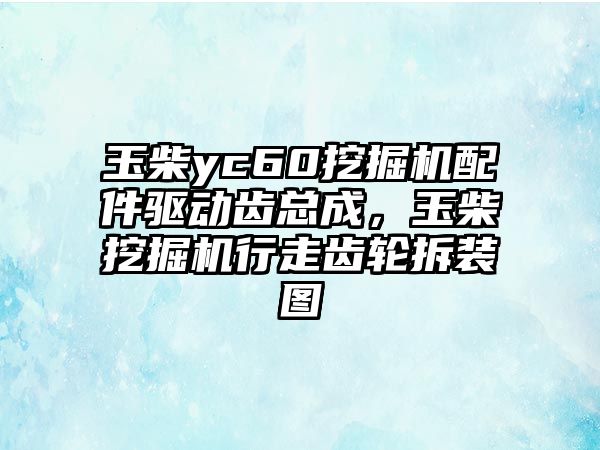 玉柴yc60挖掘機配件驅(qū)動齒總成，玉柴挖掘機行走齒輪拆裝圖