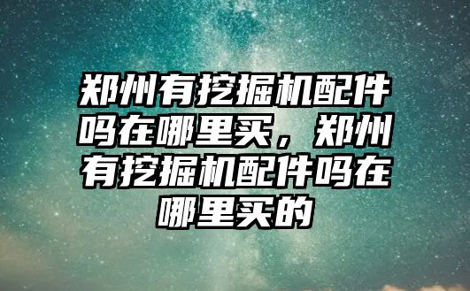 鄭州有挖掘機(jī)配件嗎在哪里買，鄭州有挖掘機(jī)配件嗎在哪里買的