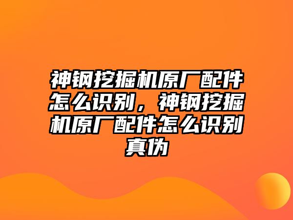 神鋼挖掘機(jī)原廠配件怎么識(shí)別，神鋼挖掘機(jī)原廠配件怎么識(shí)別真?zhèn)?/>	
								</i>
								<p class=