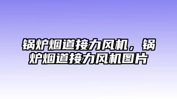 鍋爐煙道接力風(fēng)機(jī)，鍋爐煙道接力風(fēng)機(jī)圖片