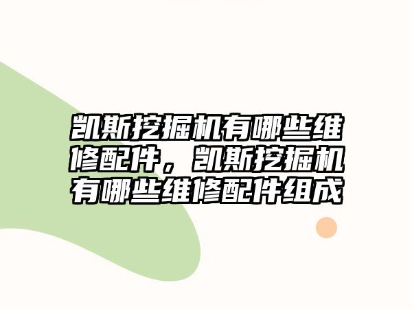 凱斯挖掘機有哪些維修配件，凱斯挖掘機有哪些維修配件組成