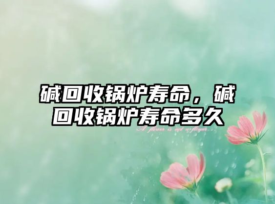 堿回收鍋爐壽命，堿回收鍋爐壽命多久