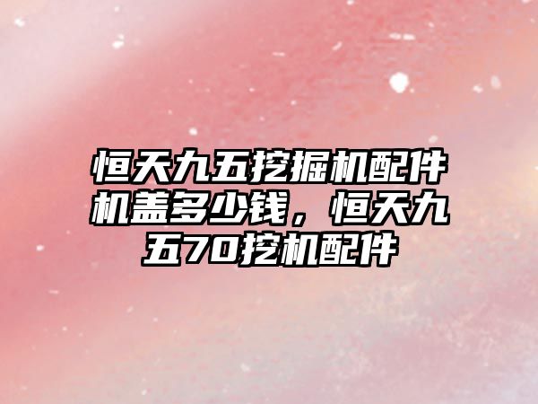 恒天九五挖掘機(jī)配件機(jī)蓋多少錢，恒天九五70挖機(jī)配件