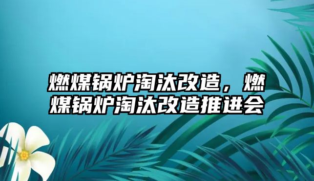 燃煤鍋爐淘汰改造，燃煤鍋爐淘汰改造推進會