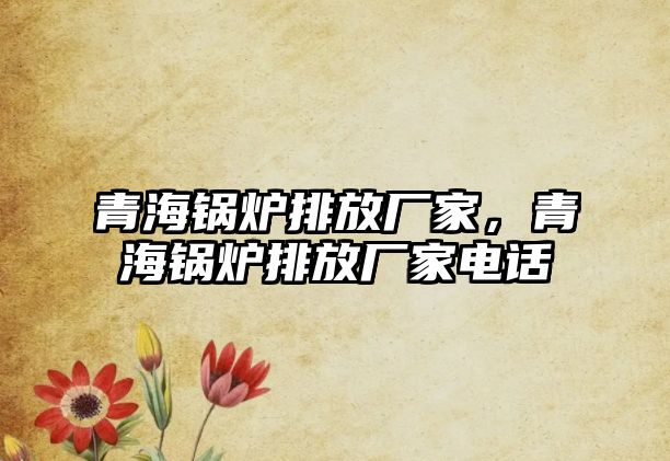 青海鍋爐排放廠家，青海鍋爐排放廠家電話