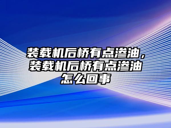 裝載機后橋有點滲油，裝載機后橋有點滲油怎么回事