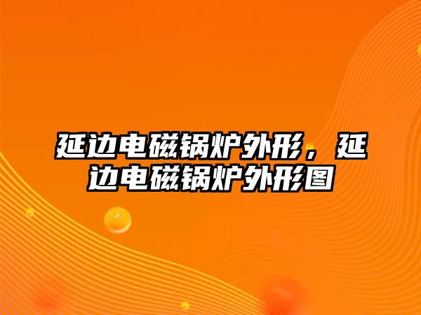 延邊電磁鍋爐外形，延邊電磁鍋爐外形圖