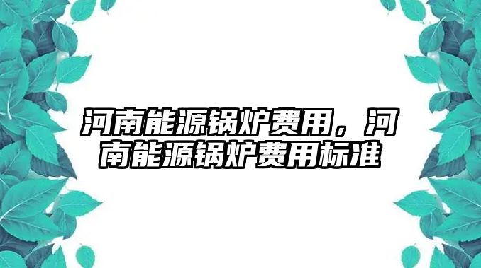 河南能源鍋爐費(fèi)用，河南能源鍋爐費(fèi)用標(biāo)準(zhǔn)