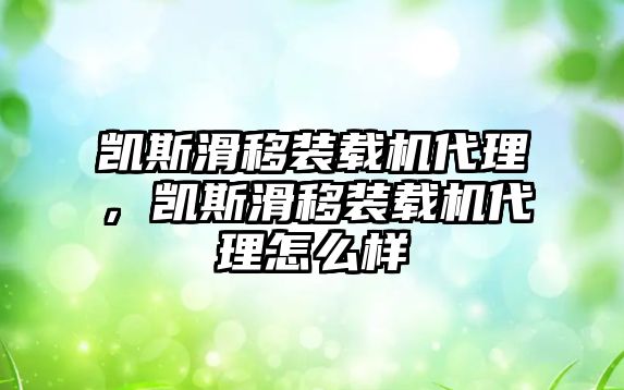 凱斯滑移裝載機(jī)代理，凱斯滑移裝載機(jī)代理怎么樣