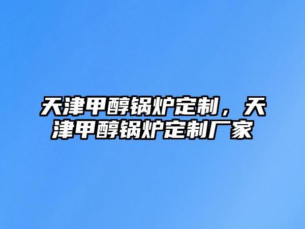 天津甲醇鍋爐定制，天津甲醇鍋爐定制廠家