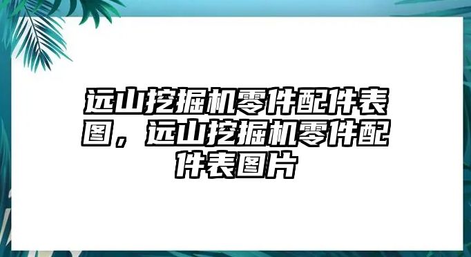 遠山挖掘機零件配件表圖，遠山挖掘機零件配件表圖片