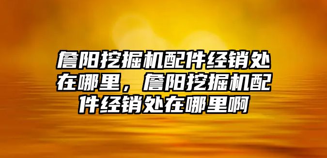 詹陽挖掘機配件經(jīng)銷處在哪里，詹陽挖掘機配件經(jīng)銷處在哪里啊