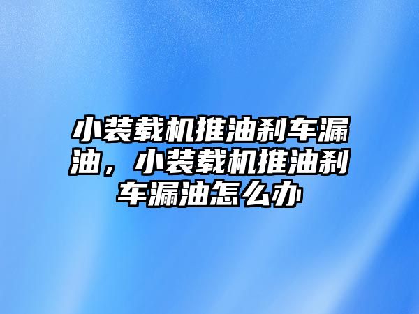 小裝載機推油剎車漏油，小裝載機推油剎車漏油怎么辦